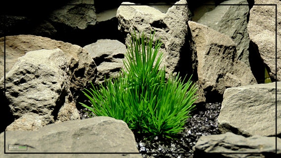 Plastic Moss Pads - Artificial Aquarium Plants | Artificial Plants - Ron  Beck Designs