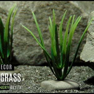 Atlantis Grass on Pebbles | Set of 3 Aquarium Decor Plant Accessories