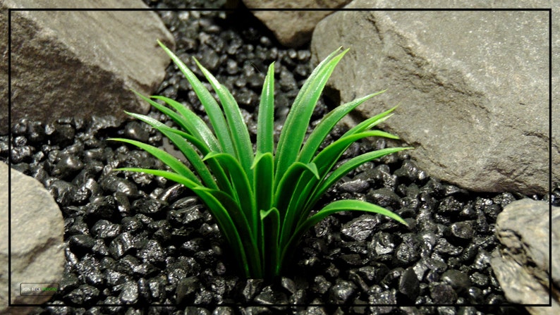 Artificial Curly Grass Artificial Aquarium Decor Plant or Reptile Plant parp445 image 4