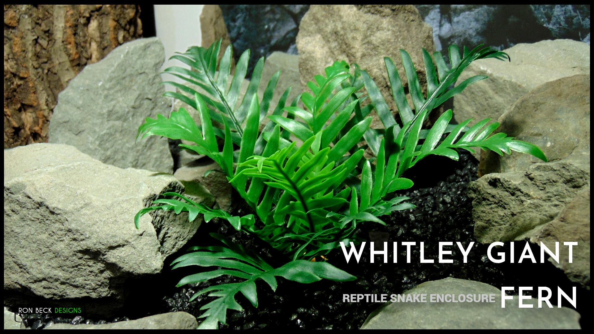 Artificial Whitley Giant Fern | Reptile Snake Spider Insect Decor Enclosure Accessories