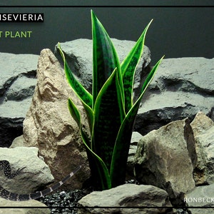 Artificial Sansevieria Mother in Law Tongue – Reptile Snake Habitat Plant - House Plant | PRP393