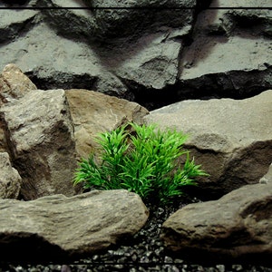 Arbuste hérissé en plastique semi-doux - Plante décorative artificielle pour aquarium ou reptile | parp420