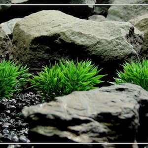 Artificial Podocarpus Grass Plot – Aquarium Decor Plant or Reptile Terrarium Habitat Plant  | PARP402