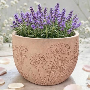 May include: A terracotta-colored, round flower pot with embossed floral designs, filled with vibrant purple lavender blooms. The pot is set on a light-colored wooden surface, creating a natural and inviting aesthetic.