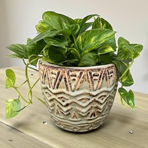 May include: A potted pothos plant with vibrant green and yellow leaves. The plant is in a decorative ceramic pot with a beige and brown geometric pattern. The pot sits on a light-colored wooden surface.