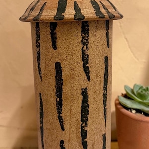 May include: A cylindrical ceramic jar with a lid, featuring a tan base and black vertical stripe designs. The lid has a spiral handle and a striped pattern. A small potted succulent is visible in the background.