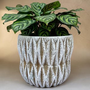 May include: A potted plant with green and white striped leaves sits in a white and brown textured ceramic pot. The pot has a geometric diamond pattern and a weathered appearance, adding a touch of rustic charm to the indoor plant.