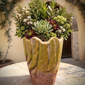 May include: A ceramic planter with a textured, olive-green glazed upper section and a rough, terracotta-colored base. The planter is filled with a variety of green succulents, small white flowers, and evergreen foliage arranged in a dense cluster.