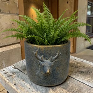 May include: A vibrant green fern plant potted in a cylindrical dark gray planter. The planter features a textured finish with a prominent, raised relief of a deer head centered on the front, accented with subtle gold-toned highlights.