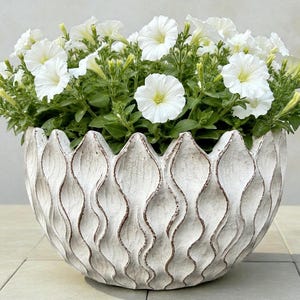 May include: A white, textured, decorative planter filled with white petunia flowers. The planter has a unique, wavy design with brown accents. The flowers have green foliage and yellow centers, creating a vibrant contrast.