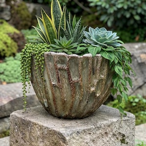 May include: A large, textured, stone-like planter filled with a variety of succulents and trailing plants. The planter is a weathered gray-brown color and sits on a stone pedestal. The plants include snake plants, succulents, and string of pearls.