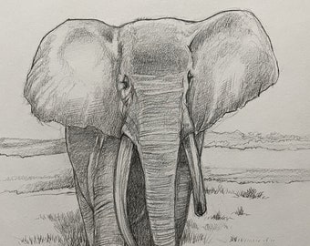 Original wildlife graphite art drawing of an African Elephant by Dennis A