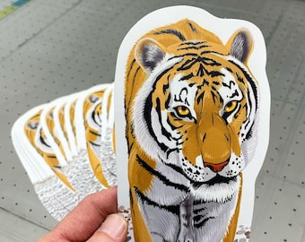 Morgana Amur Tiger sticker