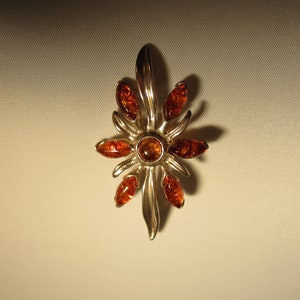 Amber Pendant