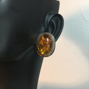 Oval Baltic Amber Earrings