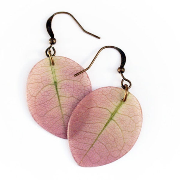 Light Pink Earrings - Bougainvillea - antiqued brass - real flower petals - pink and green - botanical earrings