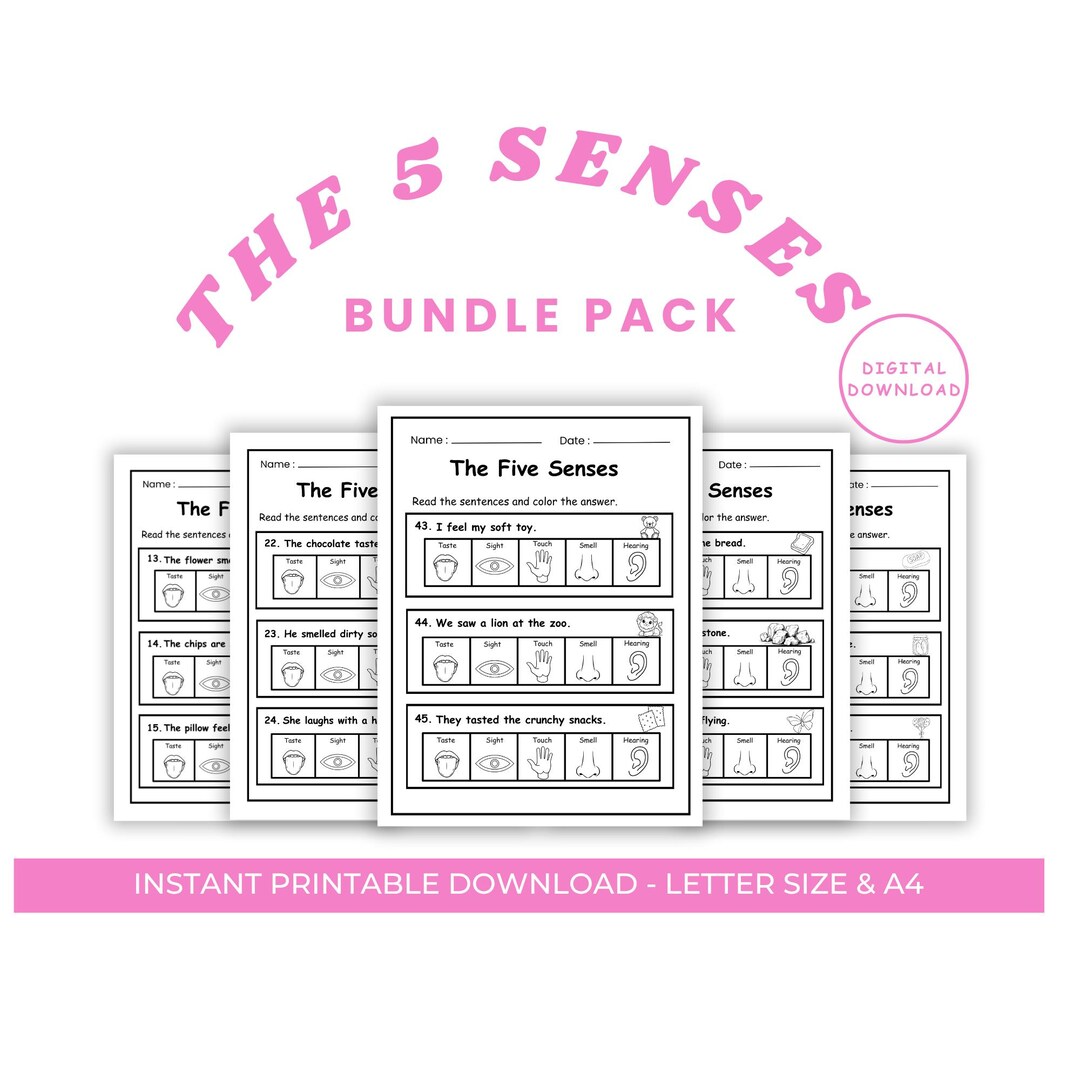 5 Senses Worksheet | Preschool Learning Pack (digital Download) - Etsy