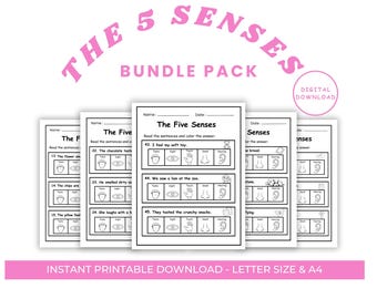 5 Senses Worksheet | Preschool Learning Pack (Digital Download)