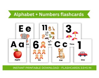 Alphabet and Number Flashcards | Early Learning (Digital Download)