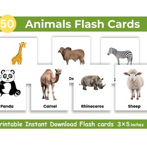 Karteikarten für Kinder | 50 druckbare Karteikarten für die Frühlerner | Tiere lernen mit Bild