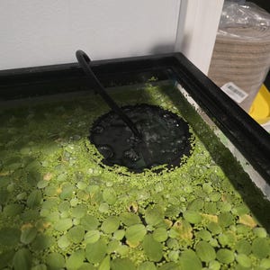 Aquarium Bubble Ring for aquariums with floating plants!