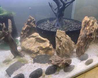 May include: An aquarium interior with natural decorations. The tank contains several large, tan-coloured rocks, dark grey pebbles, and a dark, artificial tree. The substrate is a light-coloured sand. The scene is designed to replicate a natural underwater habitat.