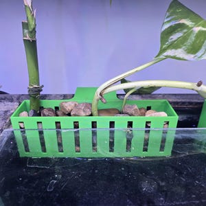 May include: A green plastic plant holder with a slotted design, filled with small rocks, and holding a green plant with a large, variegated leaf. A bamboo stalk is also in the holder. The holder is in a glass container.