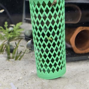 May include: A cylindrical, light green aquarium decoration with a diamond-shaped lattice design. The decoration is partially submerged in sand, with a snail and small aquatic life visible. The background includes aquatic plants and other aquarium elements.