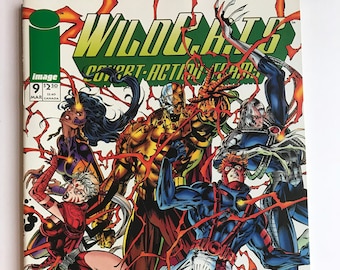 アイコン：ジム・リーのDCコミックス＆ワイルドストームアート、サイン