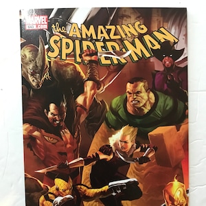 Amazing Spider-Man 643 - Written by Stan Lee and Mark Waid! Brand New Day Finale  Part 2 of 5 (First Print, VF/NM, Across The Spiderverse)