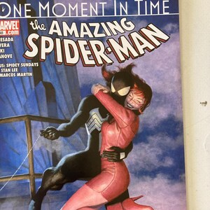 Amazing Spiderman 638 - One Moment In Time - AKA How The World Forgets About Peter Parker (VF/NM, Marvel Comics, Avengers, No Way Home)