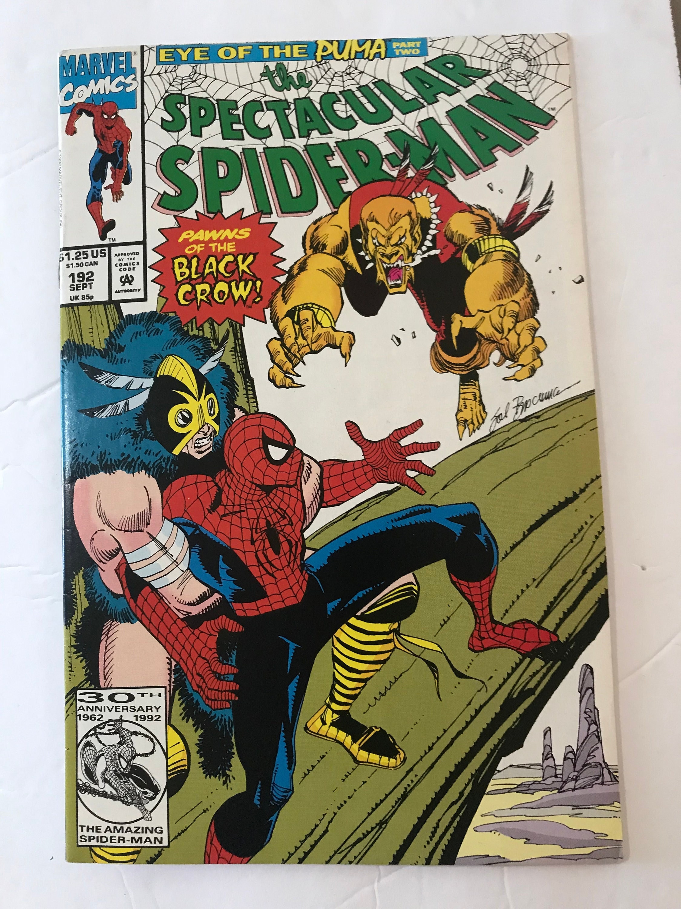 Spectacular Spider-man 192 1992 VF/NM Condition - Etsy