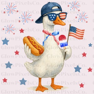 Boy 4th of July Goose PNG, Patriotic Independence Day Design, Cute USA Boy Sublimation Image, Digital Download
