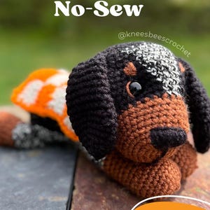 Bluetick Coonhound Crochet Pattern – No-Sew Plush Dog PDF with Step-by-Step Photos and Checkered Vest