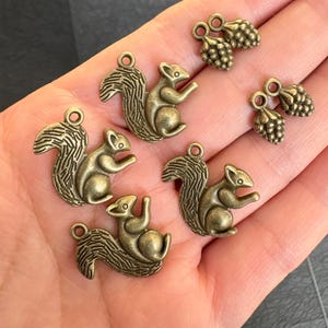 Puede incluir: Amuletos de metal color bronce con forma de ardillas y piñas. Los amuletos de ardilla tienen pelo detallado y están en varias poses. Los amuletos de piña son pequeños y texturizados. Ideales para la fabricación de joyas.