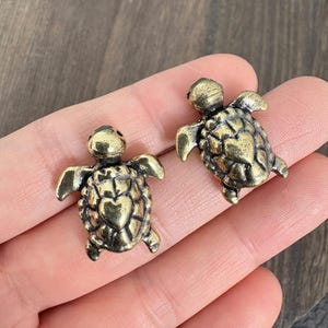 Könnte beinhalten: Zwei kleine, antike Schildkrötenfiguren aus Messing. Die Schildkröten haben detaillierte Panzer, flossenartige Gliedmaßen und kleine Köpfe. Das Messing hat ein leicht gealtertes, angelaufenes Aussehen. Die Schildkröten sind wahrscheinlich Dekorationsartikel oder Charms.