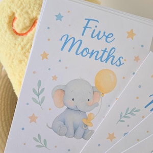 Cadeaus voor baby's Baby mijlpaalkaarten New Mom Gifts Maandelijkse kaartenset Aquarel Maandelijkse fotorekwisieten Pasgeboren aandenkenset 5 x 7 genderneutraal