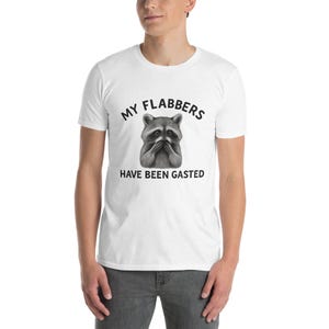 Funny Sarcastic Quote My Flabbers Have Been Gasted