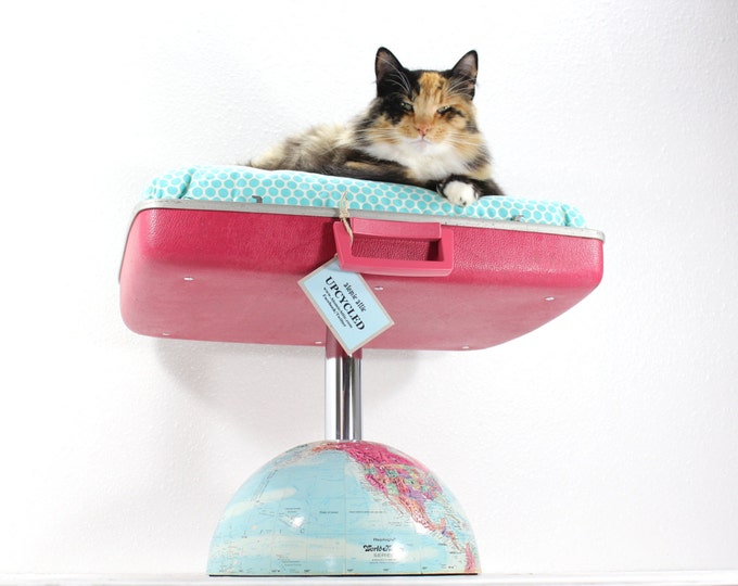 Upcycled Pet Bed With Globe Pedestal Base Etsy