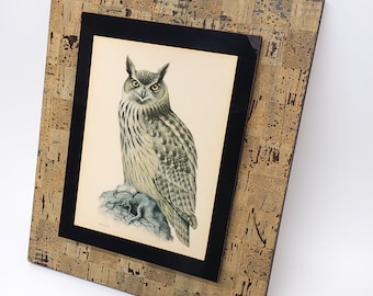 Vintage Great Horned Owl Artwork - Mid Century