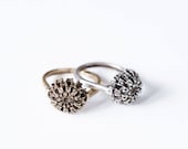 Nest Ring