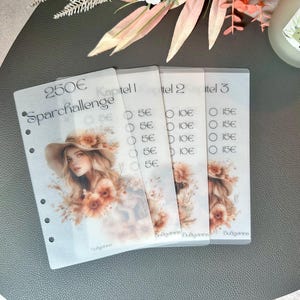 May include: A set of four clear, binder-punched budget sheets. The first sheet has the text "250€ Sparchallenge" and a portrait of a woman in a hat. The other sheets have the text "Kapitel 1, 2, 3" and amounts in Euros.
