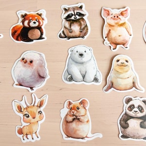 K&ouml;nnte beinhalten: Eine Sammlung farbenfroher Tieraufkleber, darunter ein Frosch, ein roter Panda, ein Waschb&auml;r, ein Schwein, ein B&auml;r, ein L&ouml;we, ein Vogel, ein Eisb&auml;r, eine Robbe, ein Tiger, ein Nilpferd, ein Reh, eine Maus, ein Panda und ein Faultier.