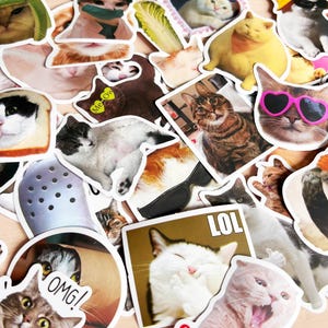 Cute Cat Meme Stickers Funny Cat sticker Funny Waterproof Stickers Decals For Motorcycle, Laptop, Luggage, Water Bottle, Phone case