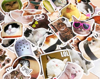 Memestickers Funny Cat: waterdichte vinylstickers voor laptop, bidon