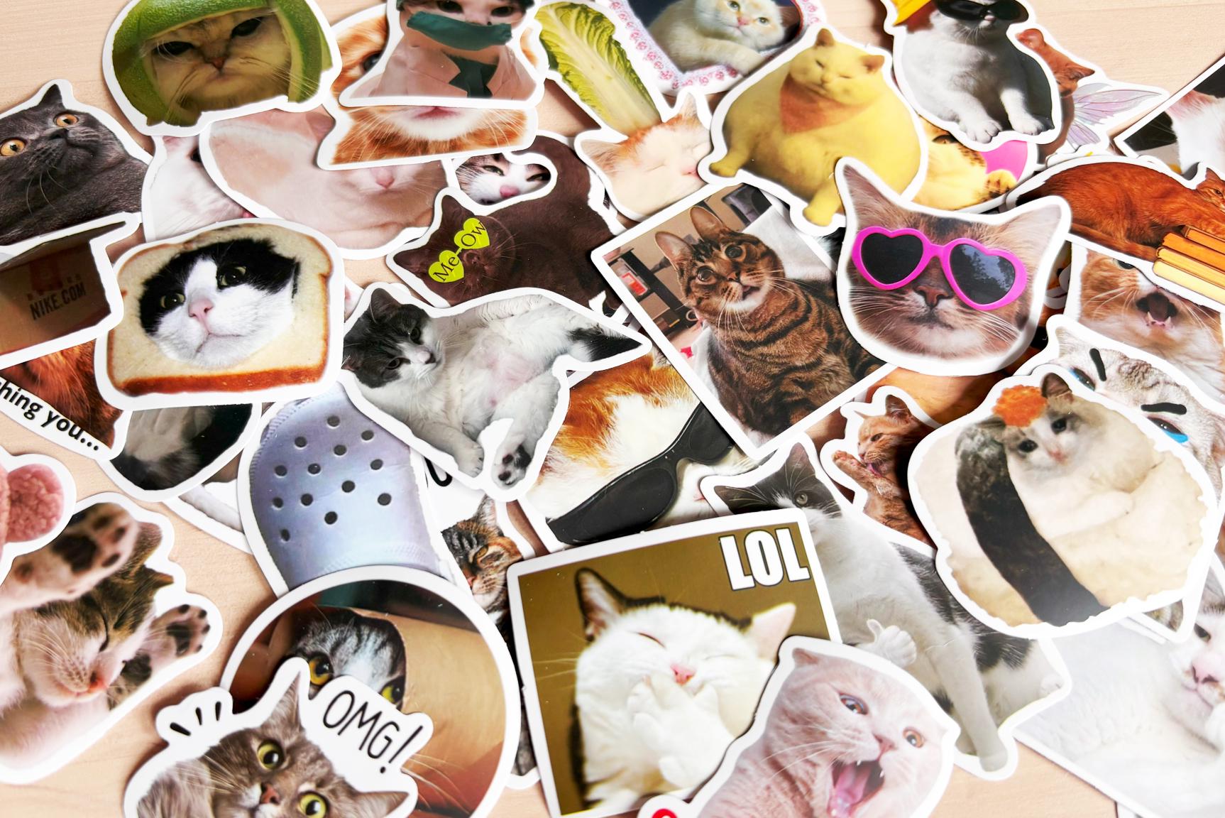 Funny Cat Meme Stickers: Waterproof Vinyl Decals for Laptop, Water ...