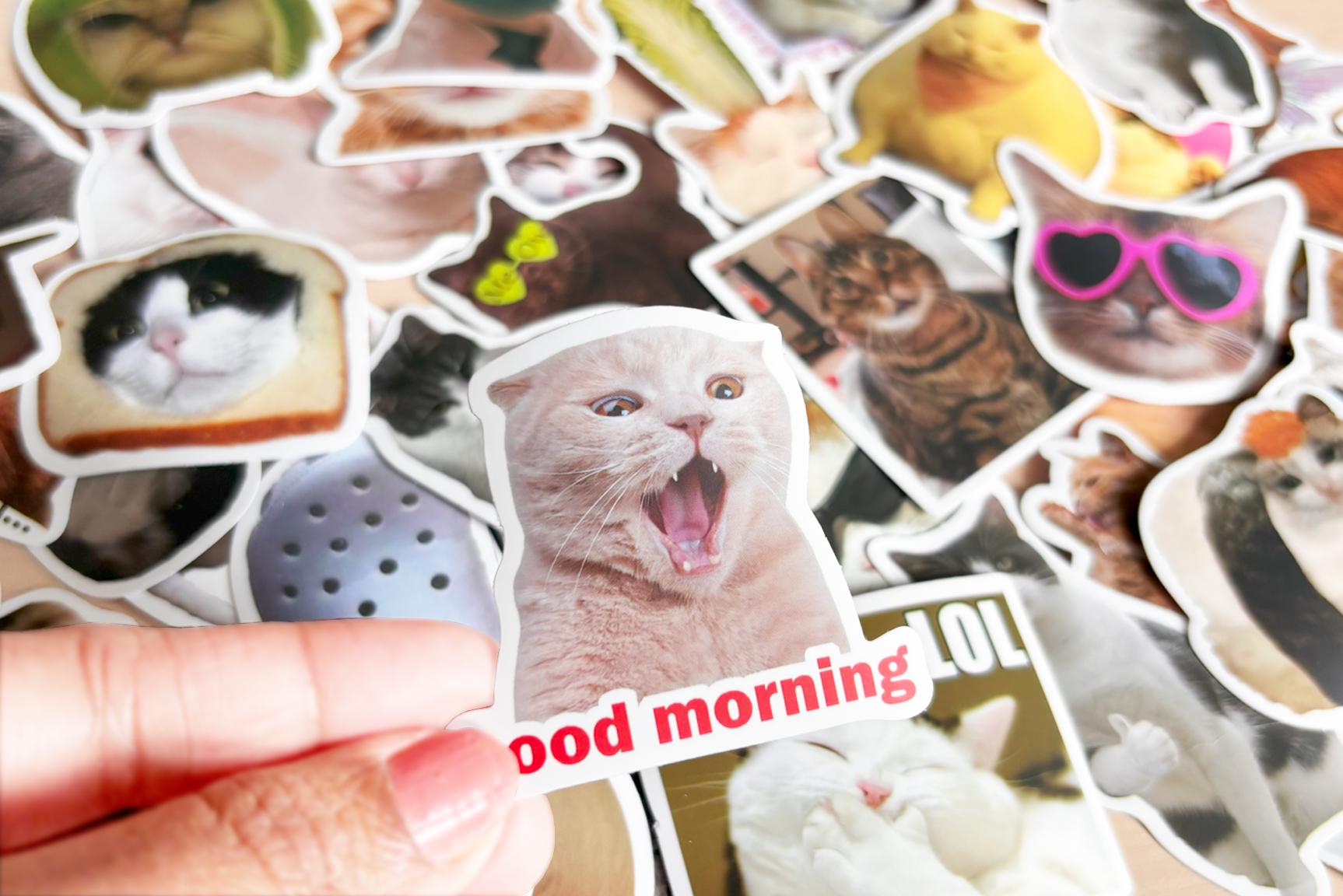Funny Cat Meme Stickers: Waterproof Vinyl Decals for Laptop, Water ...