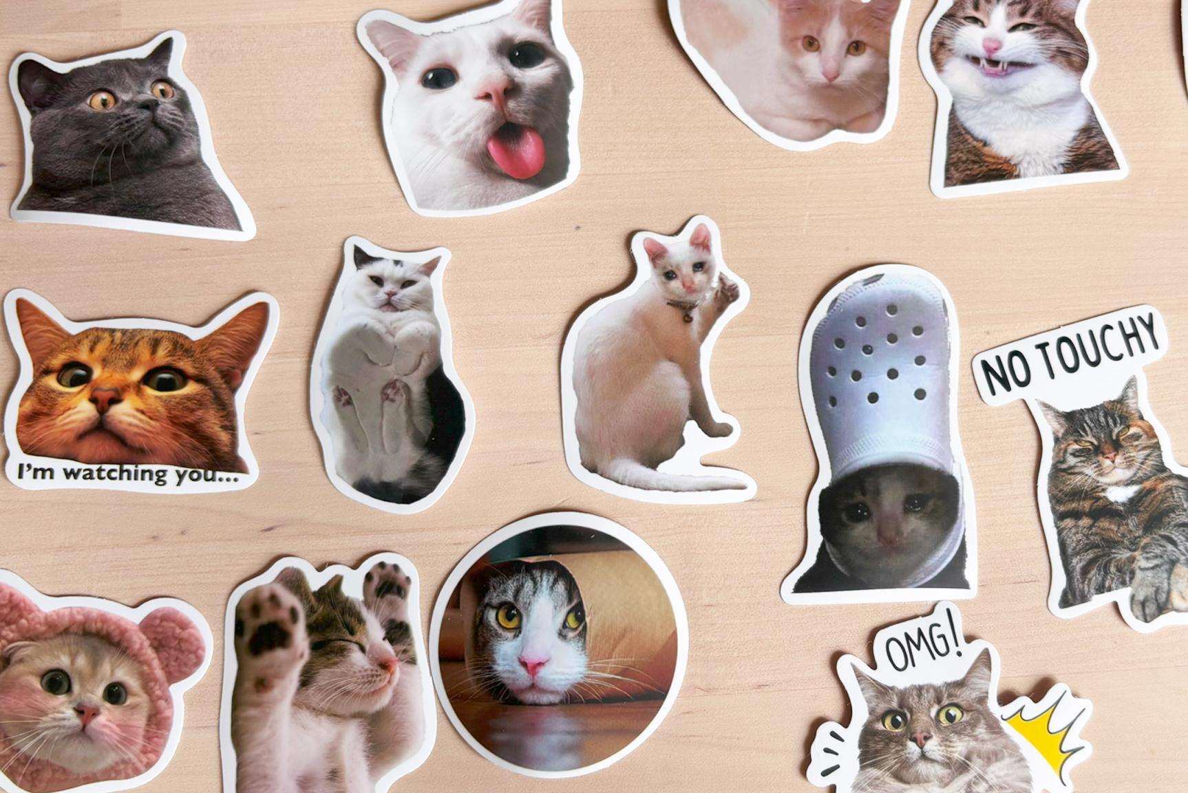 Funny Cat Meme Stickers: Waterproof Vinyl Decals for Laptop, Water ...