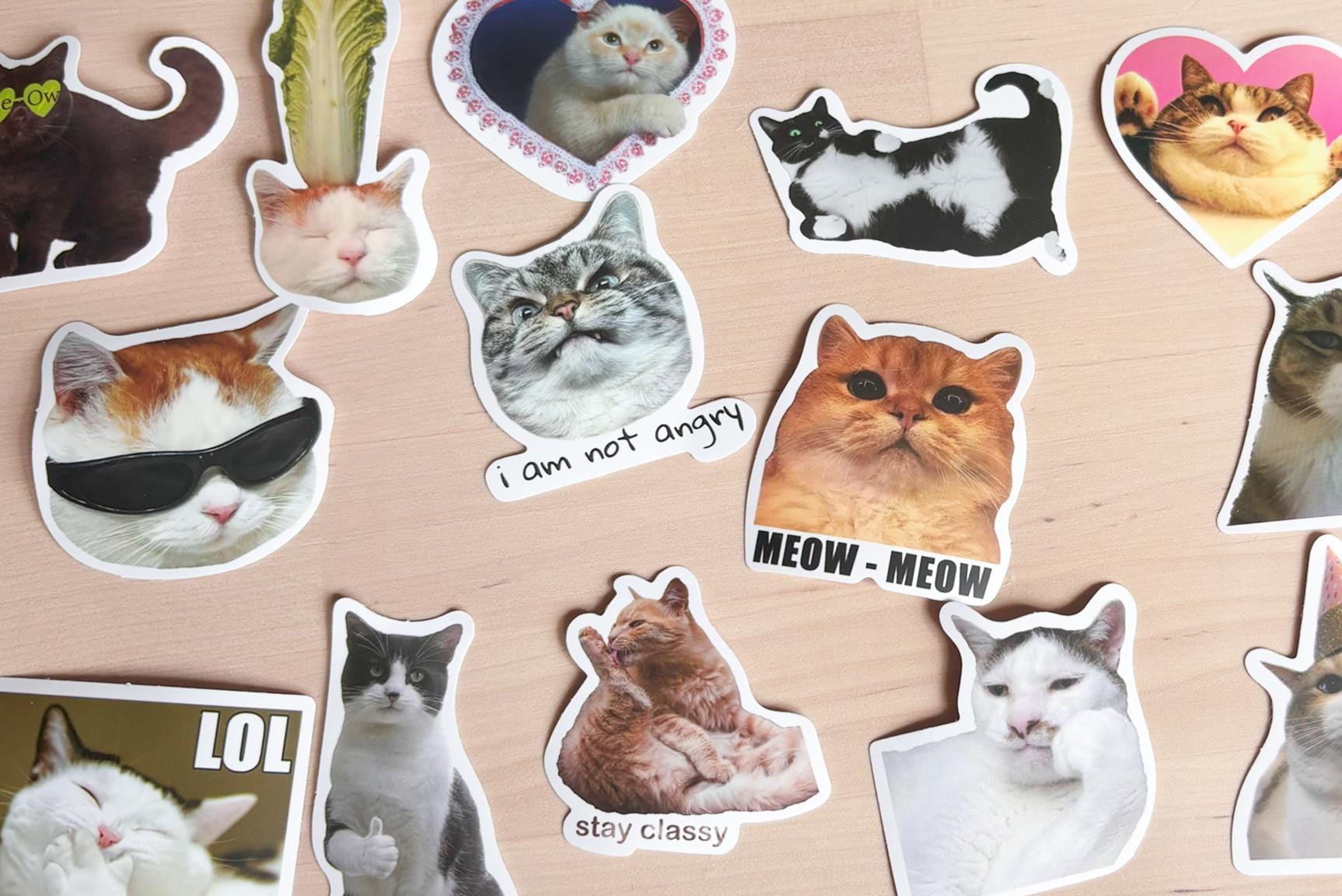 Funny Cat Meme Stickers: Waterproof Vinyl Decals for Laptop, Water ...