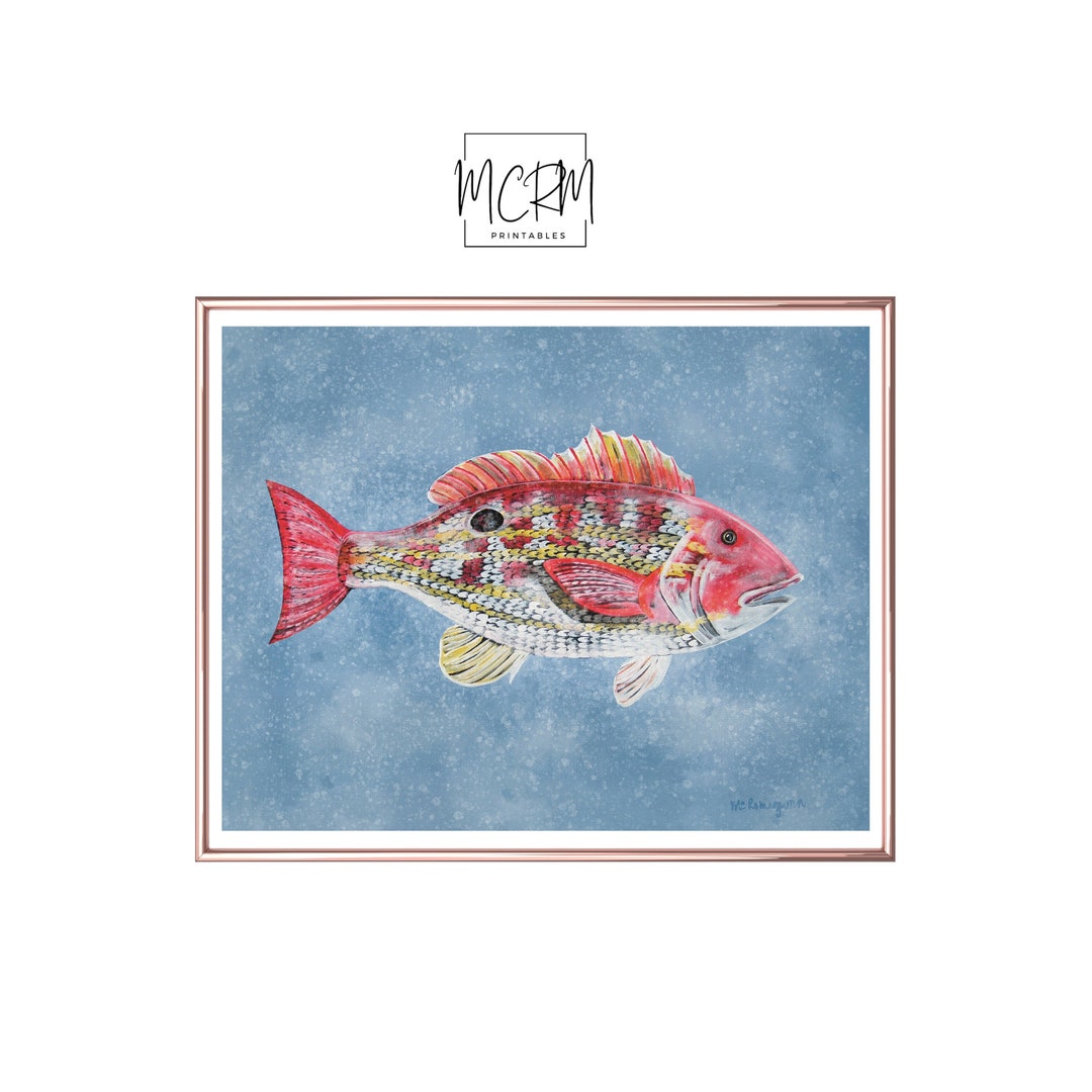 Lane Snapper, Gulf of Mexico Fish, Instant Download Wall Art, Printable ...